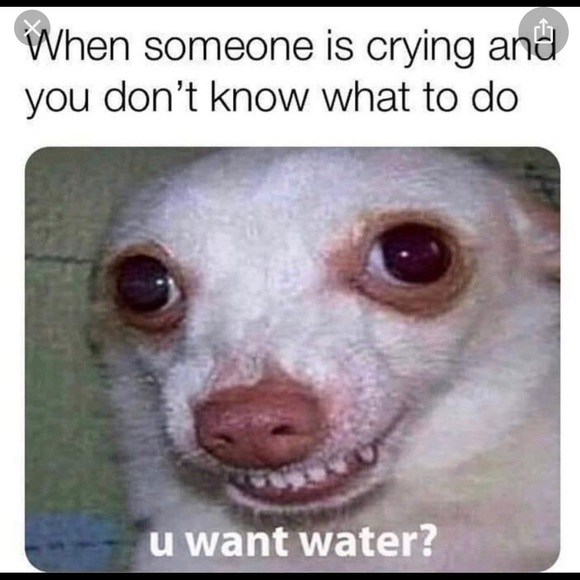 Meet your Posher, Joey - Picture 1 of 1